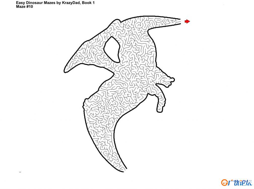 Easy to Challenging Dinosaur Mazes (Ages 6-12)，600页PDF可打印 简单迷宫 亲子游戏 广饶论坛中小学教育 ...