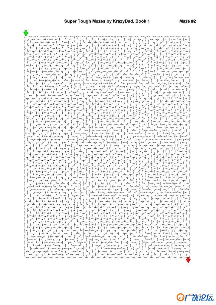 Super Tough Mazes (For robots of all ages)，1000页PDF可打印 简单迷宫 亲子游戏 广饶论坛中小学教育智慧 ...