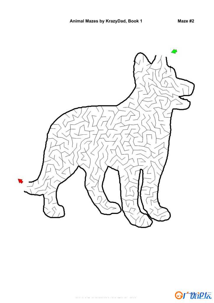 Assorted Animal Mazes Easy-Tough (Ages 4-12+)，1000页PDF