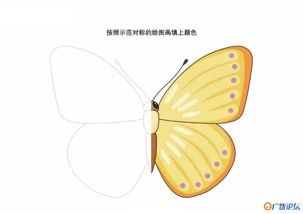 按照图画的轮廓绘制并填色_2，11页PDF