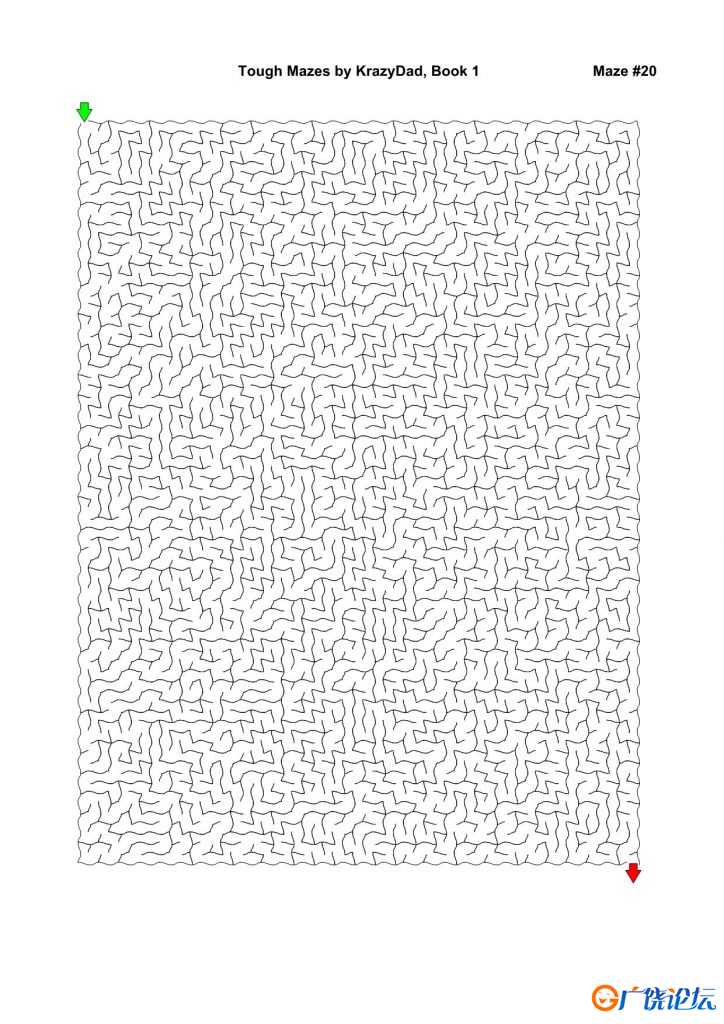 Tough Mazes (Ages 9-12+)，1000页PDF可打印 复杂迷宫 亲子游戏 家庭迷宫游戏 广饶论坛中小学教育智慧平台 ...