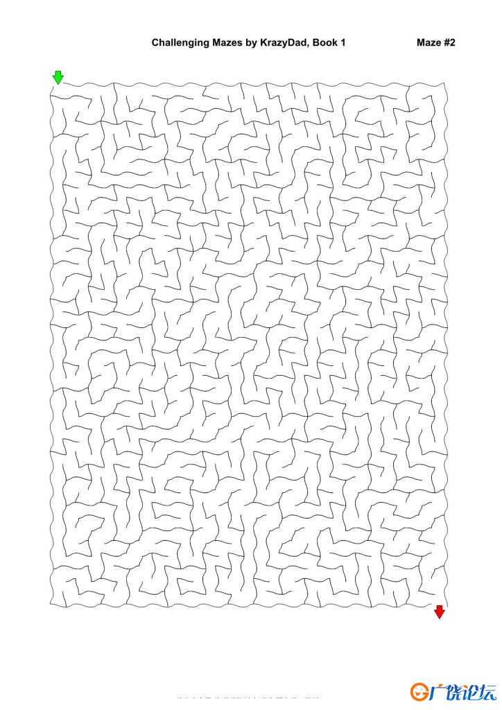 Challenging Mazes (Ages 7-9)，1000页PDF可打印 复杂迷宫 亲子游戏 广饶论坛中小学教育智慧平台 ...