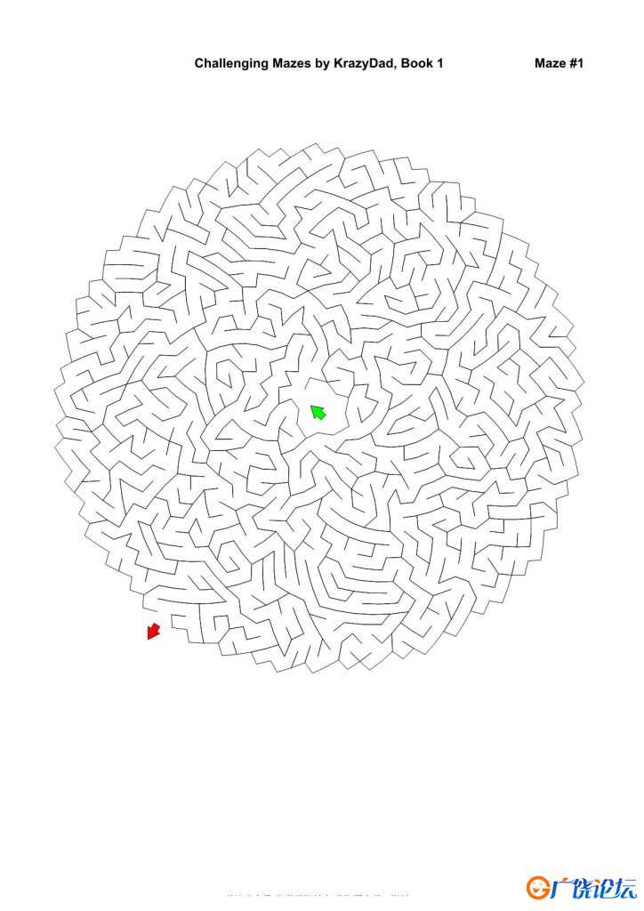 Challenging Mazes (Ages 7-9)，1000页PDF可打印 复杂迷宫 亲子游戏 广饶论坛中小学教育智慧平台 ...