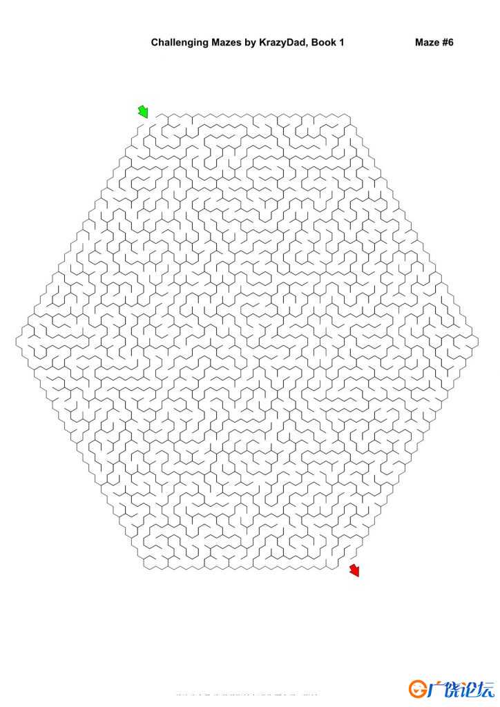 Challenging Mazes (Ages 7-9)，1000页PDF可打印 复杂迷宫 亲子游戏 广饶论坛中小学教育智慧平台 ...