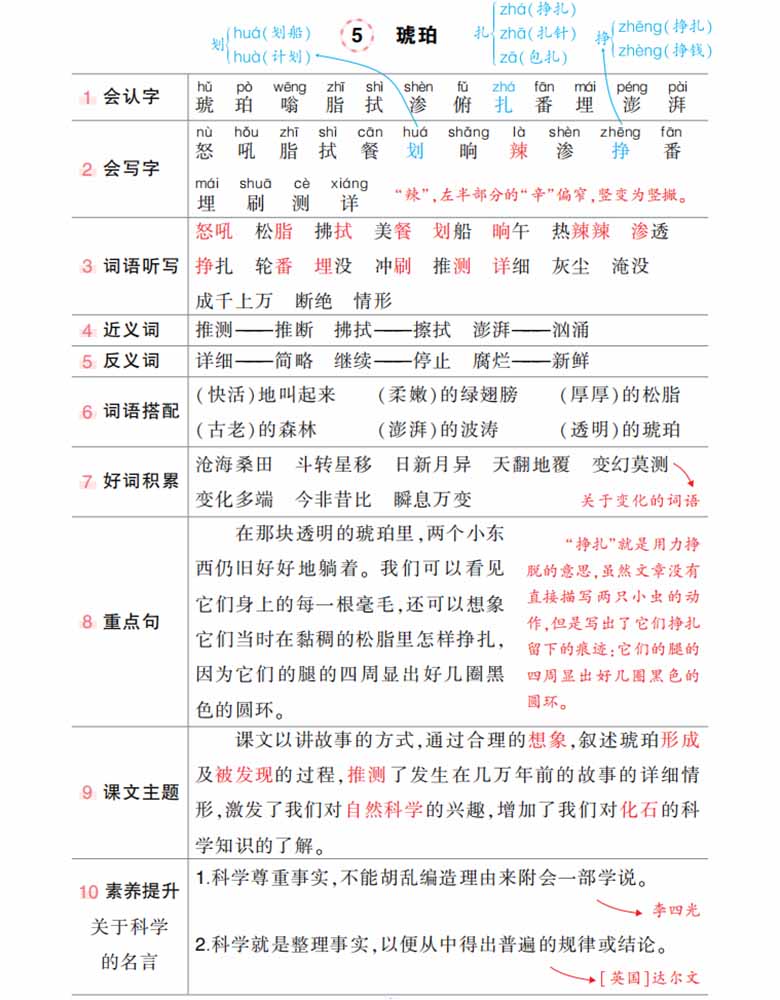 4下语文状元语文笔记（背记清单）-副本_03 副本.jpg