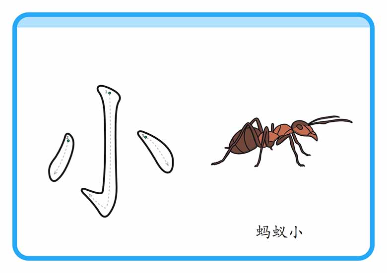 幼儿识字闪卡-副本_01 副本.jpg