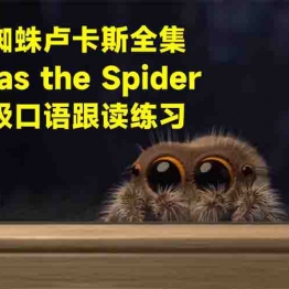 《小蜘蛛卢卡斯》 Lucas the Spider动画片全集英文版 英语启蒙动画系列短片24集 百度网盘下载中小学教育智慧平台英语早教启蒙 看动画磨耳朵0-3岁英文动画片