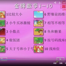 金牌数学6DVD+3CD光盘（高清版）