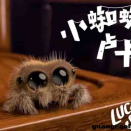 小蜘蛛卢卡斯 Lucas the Spider动画片全集英文版34全集 英文字幕高清720P 适合3-6岁儿童的英文动画片