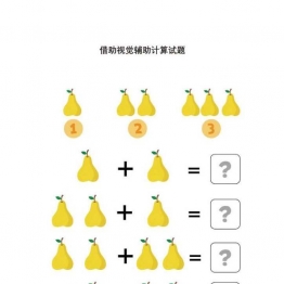 借助视觉辅助计算试题 8页PDF