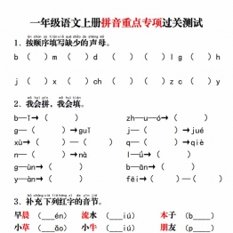 一年级语文上册拼音重点专项过关测试+答案，8页PDF电子版