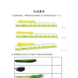 认识厘米综合练习 11页可打印PDF 小学2年级综合教学资料 家长在家亲子教育资源 广饶论坛中小学教育智慧平台