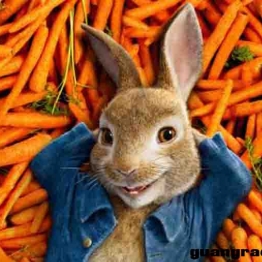 彼得兔/比得兔 Peter Rabbit 英文版动画第1/2季全100集英语字幕高清1080P视频MKV下载中小学教育智慧平台3-6岁英文动画片