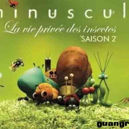 微观小世界 第一季至第四季 Minuscule Season 微观小世界 Minuscule 动画片第1/2季全177集无对白默剧高清1080P视频MP4百度网盘下载3-6岁英文动画片