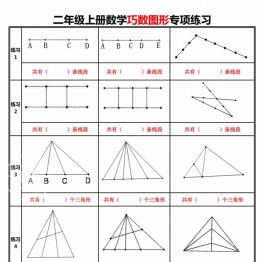 二年级上册数学巧数图形专项练习，4页PDF可打印