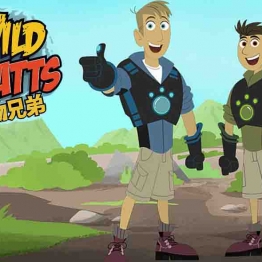 动物兄弟 Wild Kratts 中文版第1/2/3/4/5季全138集国语高清1080P视频MP4百度网盘下载