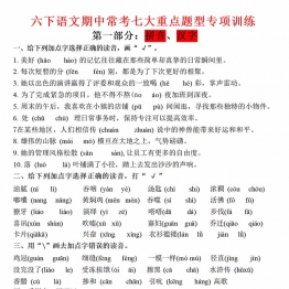 六下语文期中常考七大重点题型专项训练，33页PDF电子版可打印学习资料