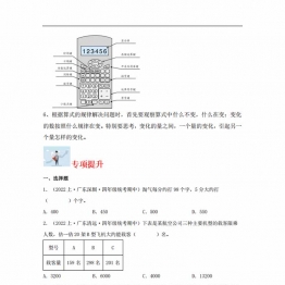 专题2 乘法（数与代数）- 四年级上册数学专项提升（北师大版），13页PDF可打印