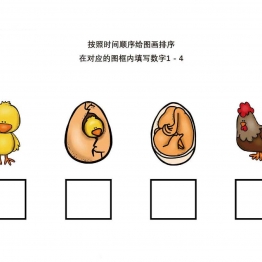 按照时间顺序给图画排序，8页PDF可打印 思维逻辑 亲子游戏 广饶论坛中小学教育智慧平台