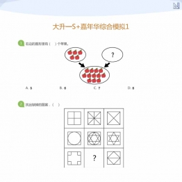 大班升一年级综合模拟，10页PDF电子版